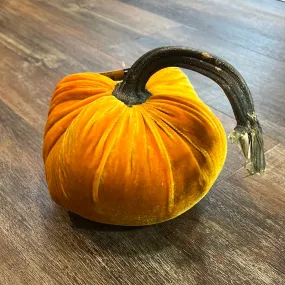 6" Carrot Pumpkin