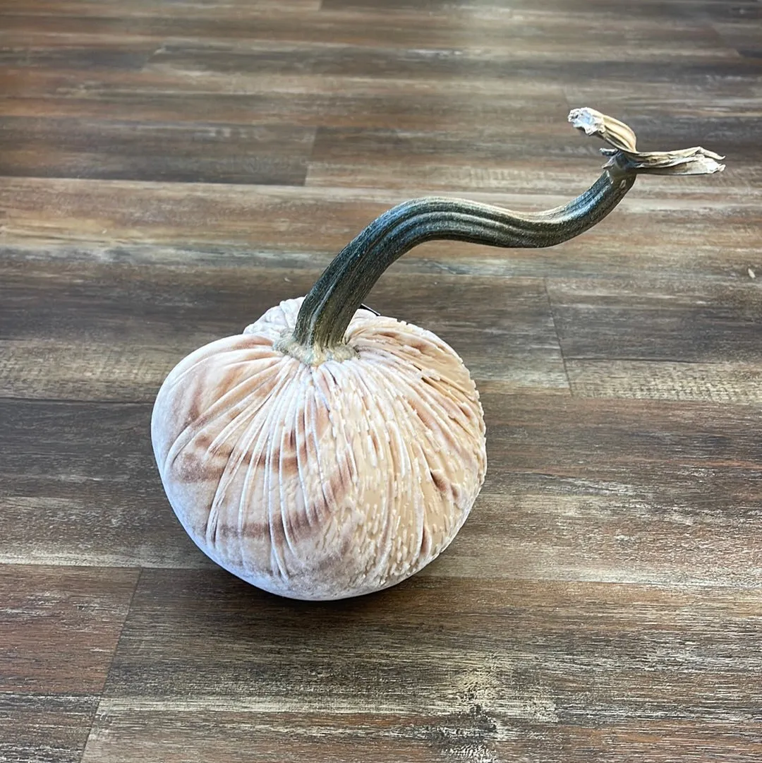 6" Zebra Beige Pumpkin One of a Kind