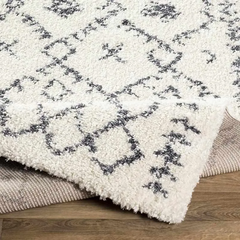 Censpa Bohemian/Global Area Rug