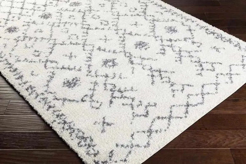 Censpa Bohemian/Global Area Rug