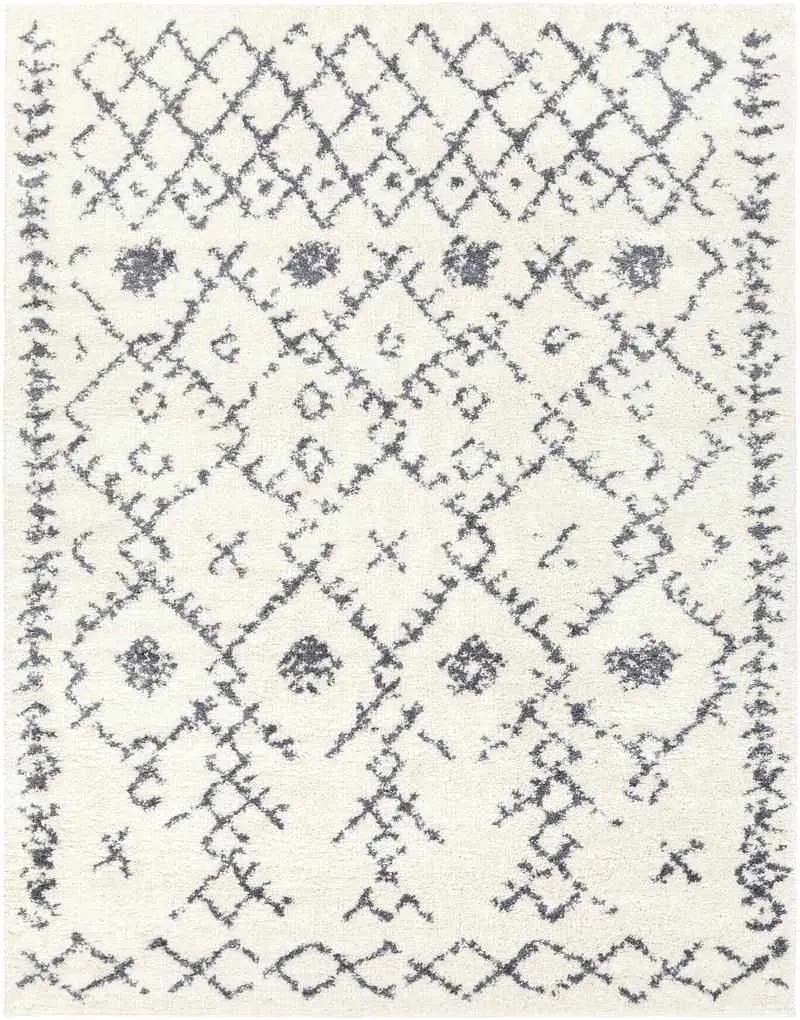 Censpa Bohemian/Global Area Rug