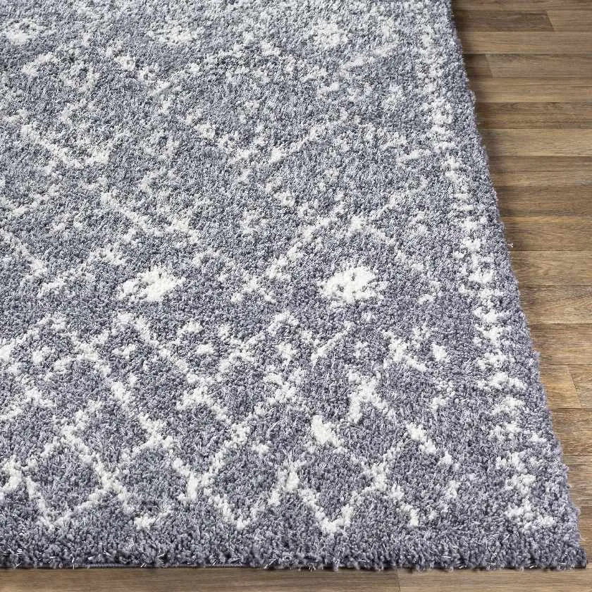 Censpa Bohemian/Global Area Rug