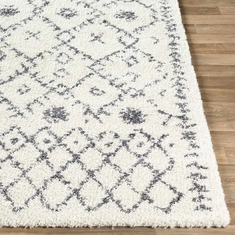 Censpa Bohemian/Global Area Rug