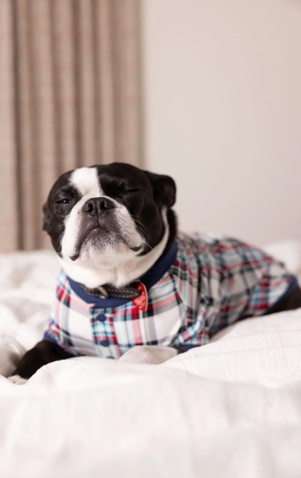 Hibernation Plaid Pet Pajamas - Family Set